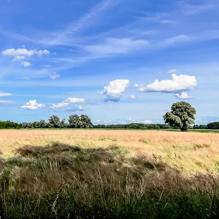 Bauernkate Seerose Rankwitz